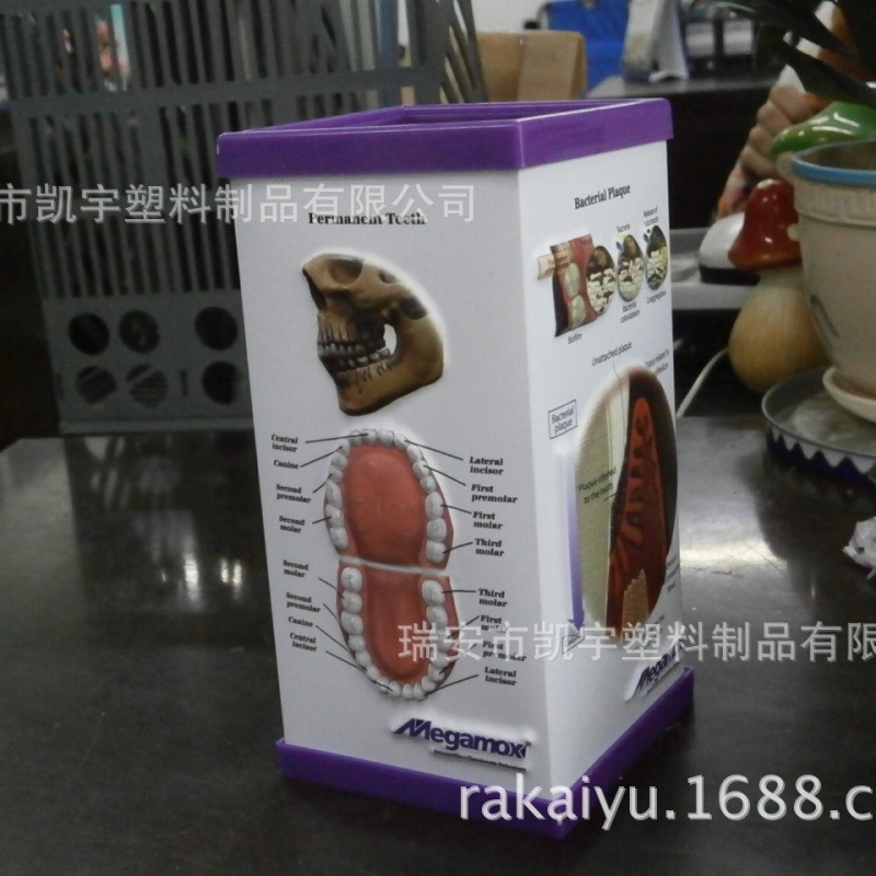 医学3D拼装立体笔筒 折叠便签塑料笔筒 器官医学礼品