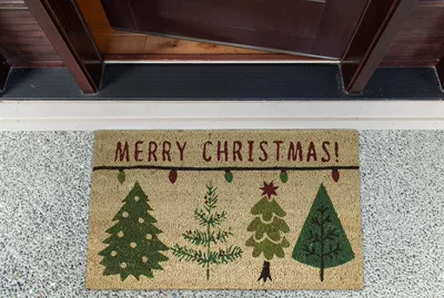 Avtomobil döşəmə paspasları — Eve Crystal Velvet Floor Mat - christmas-eve-10-4060cm