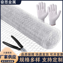 镀锌六角铁丝网包塑鸡笼铁丝网双绞合婚庆造型网插花拧花六角网
