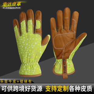 �ɹ��羳؛Դ�^��ţƤ�@ˇ�ڱ�����HY045 �ֱ����y���ݲ��S�Ұl؛