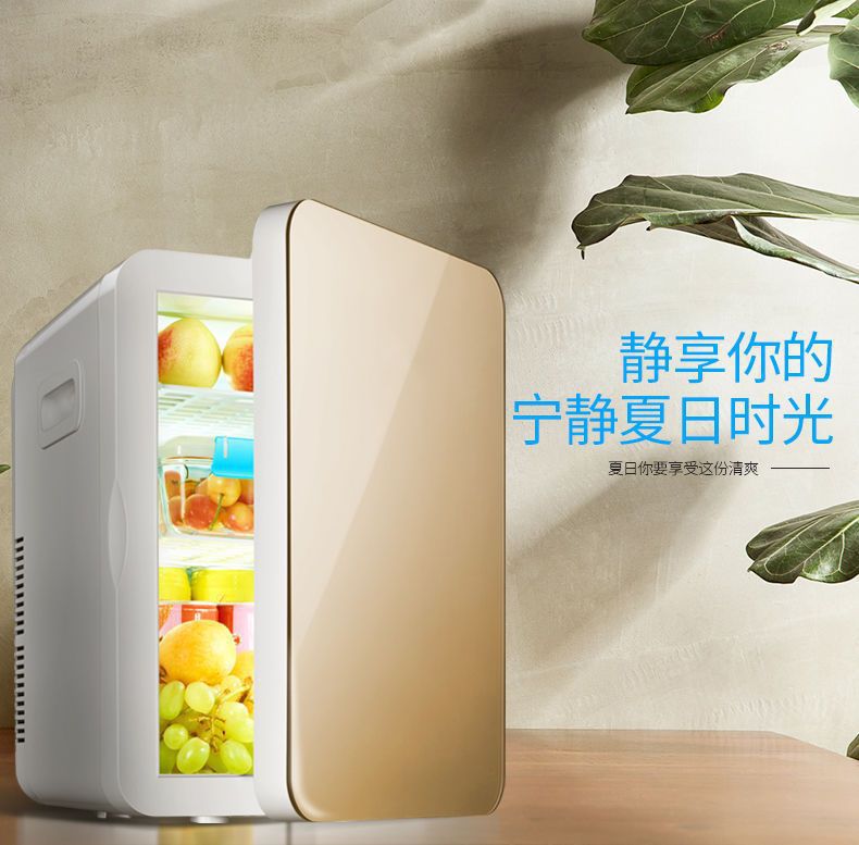 Mini Refrigerator, Small Refrigerator for Home Use, Dormitory, Car, Dual-Purpose for Bedroom and Car, Refrigeration for Cosmetics and Breast Milk