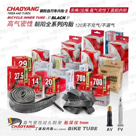 自行车轮胎;打气筒;自行车灯