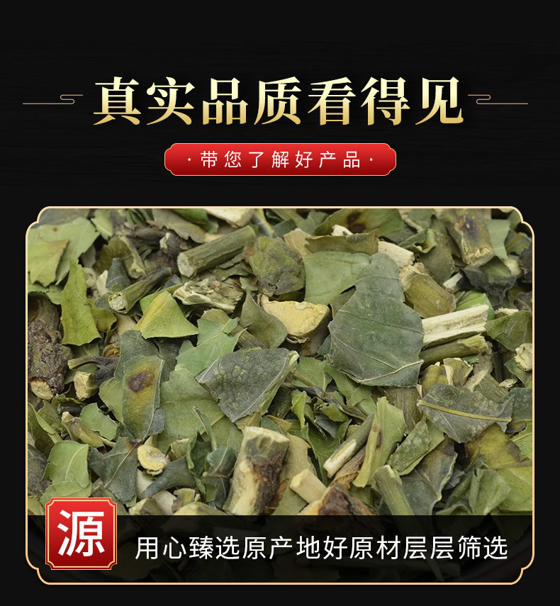 Da Bo Gu (Gendarussa vulgaris) — Dried TCM Herb for Bone-Setting & Wind-Damp Formulas quality and texture
