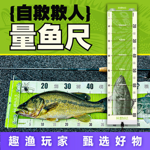 �Z�~���� �����������~�� 2026���|����~�� ���~��