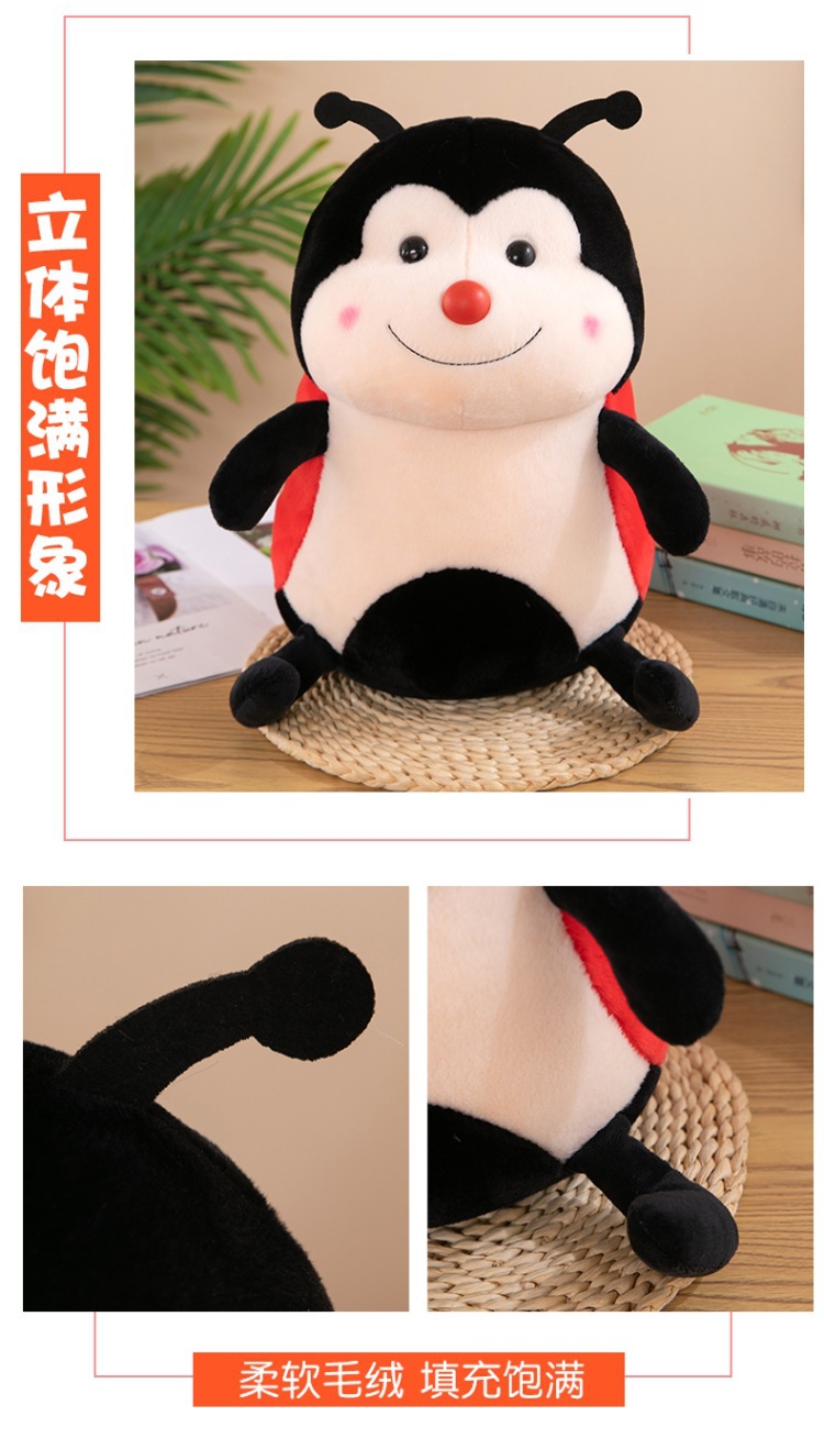 瓢虫 (9).jpg