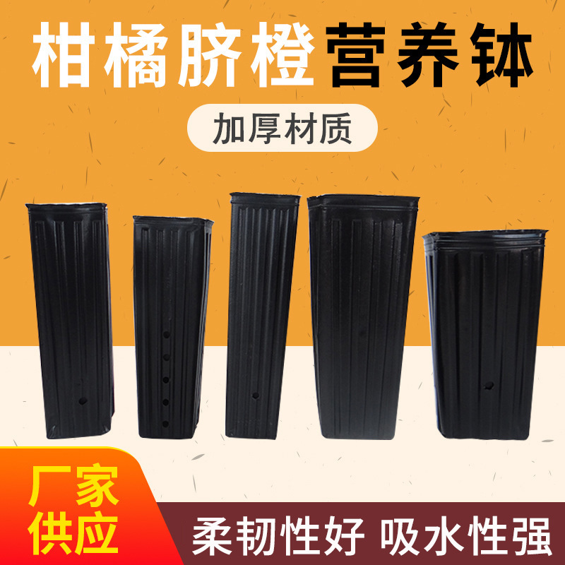 厂家供应柑橘脐橙营养钵加厚不易变形细长黑色育苗柑橘盆支持订货