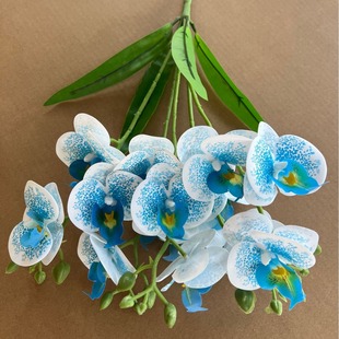 ���~5��15�^�����m���滨����c�Ҿ�ܛ�b�zӰ�Ɍ������b[����