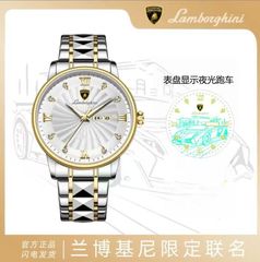 AUTOMOBILI LAMBORGHINI 兰博基尼联名限定款跑车夜光 风车纹直播