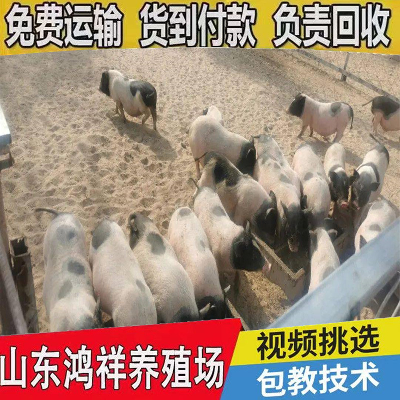 eed13293398d472ca4a95037289daa