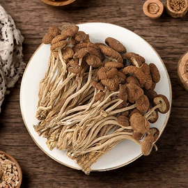 蘑菇;其他干货;茶树菇