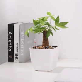 花盆容器;园艺灌溉工具;园艺工具