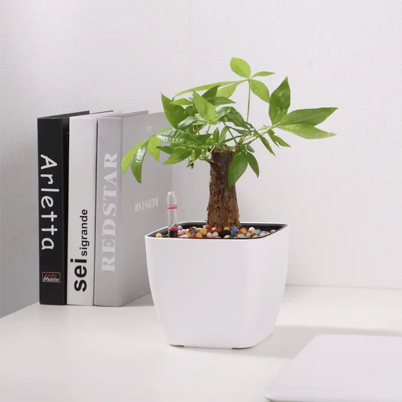 工厂直供自吸水花盆 方形桌面懒人塑料花盆简约自动吸水花盆 批发