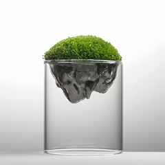 透明なガラスのコケの生態の瓶の微景観のデスクトップの緑の植物の瓶の鉢植えの置物のアイデアは山の微景観の瓶を見ます。