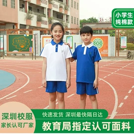 校服定制;领结/领花;男Polo衫