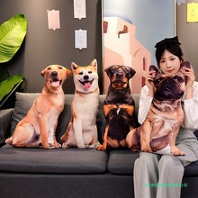 羳3DαɳƤcëq|k˯ɲϴ^