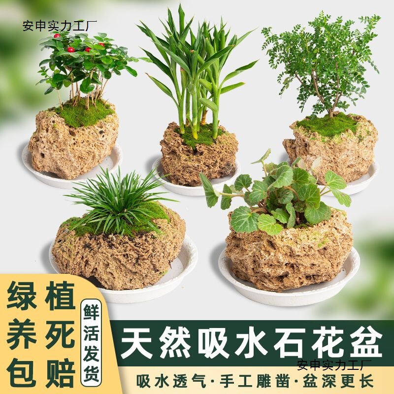 Flower Pots Made of Natural Stone, Water-Absorbing Stones, Original Stones, Stone Pots for Calamus, Succulent Plants, Bonsai, and Micro-Landscape Flower Pots Flower Pots Made of Natural Stone, Water-Absorbing Stones, Original Stones, Stone Pots for Calamus, Succulent Plants, Bonsai, and Micro-Landscape Flower Pots