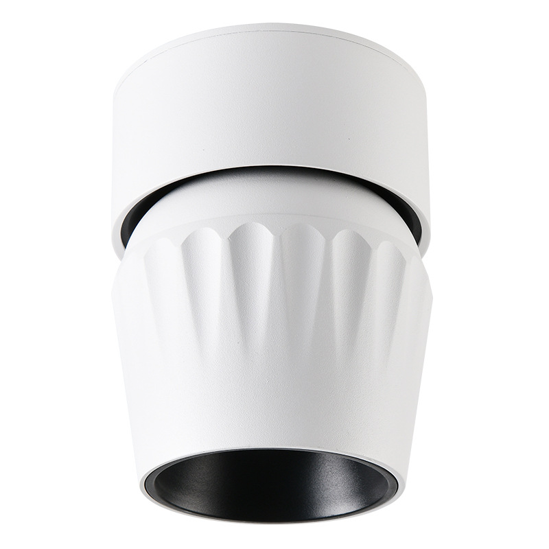 Gran vista jardín luz de techo luminaria luminaria luminaria luminaria LED antirresplandeciente 495L
