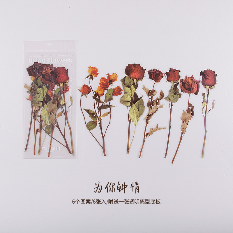 Mo Jing PET Diario pegatinas de fin de semana Flower Shop serie vintage material vegetal pegatinas Collage decoración 6 unidades 8 modelos