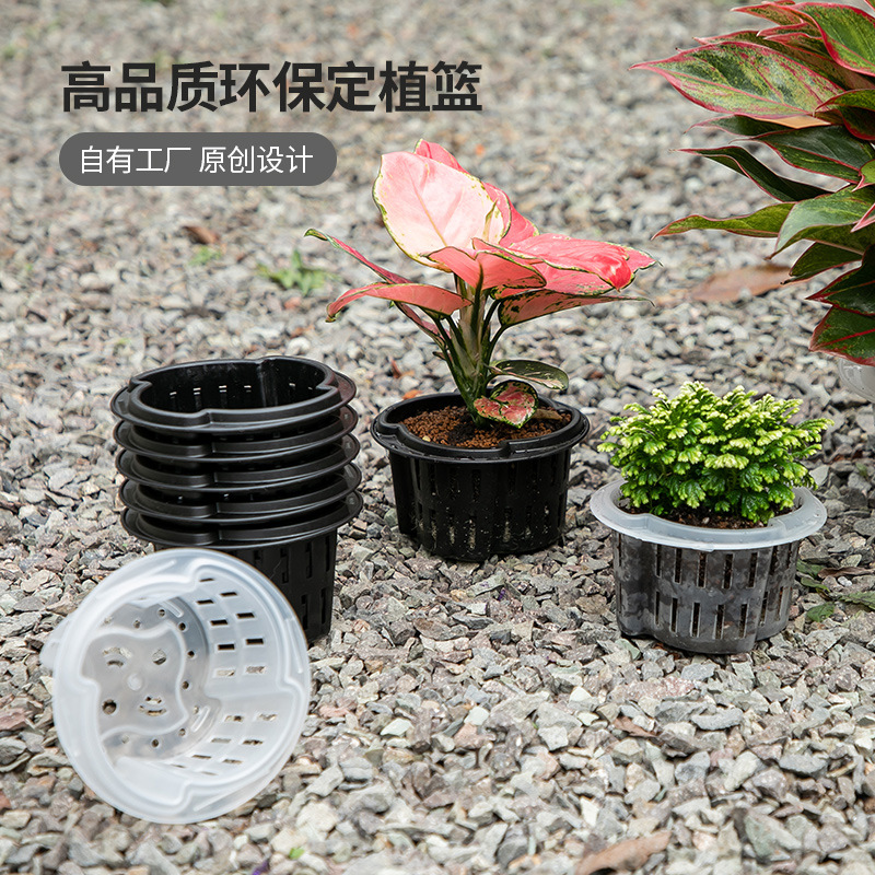 Equipo hidropónico sin suelo, maceta plástica gruesa, cesta para raíces, orquídeas y pothos