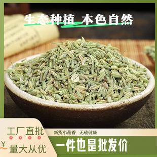 ���|С��������С����a��ֱ�lС�������{ζ��С����1���u���{��