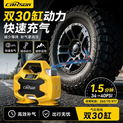pump for automobiles, Hava nasosu