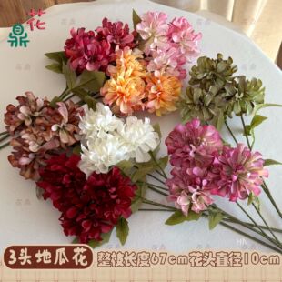 ����3�^�������عϻ� ���F�����ս��� �羳���l ��Y�����҃ȵ���