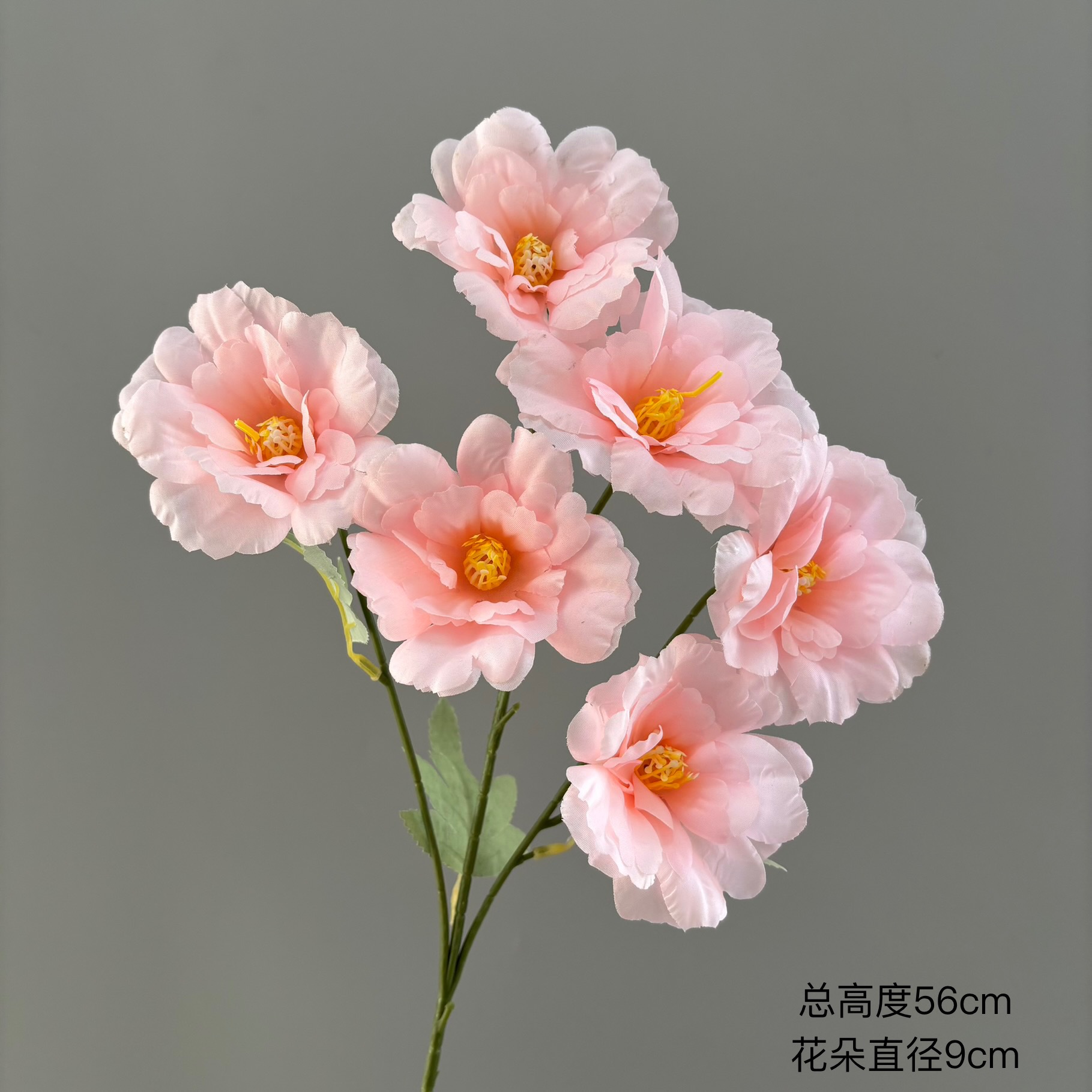 분홍색