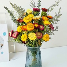 ��Ȼ�L���滨С�r�ոɻ�����ins�W�t�b[��diy��ˇ�廨�Ĕz����