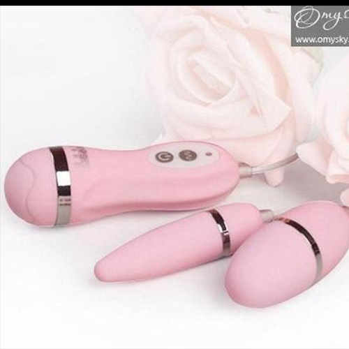 Private fun Samba Liying variable frequency battery sexy female appliances adult sexy double vibrator wholesale omysky