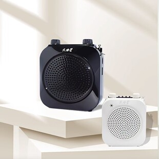 Wenquxing Amplifier, Dual-Use Wireless and Wired Microphone, Bluetooth Wireless Amplifier, Portable Little Bee Amplifier