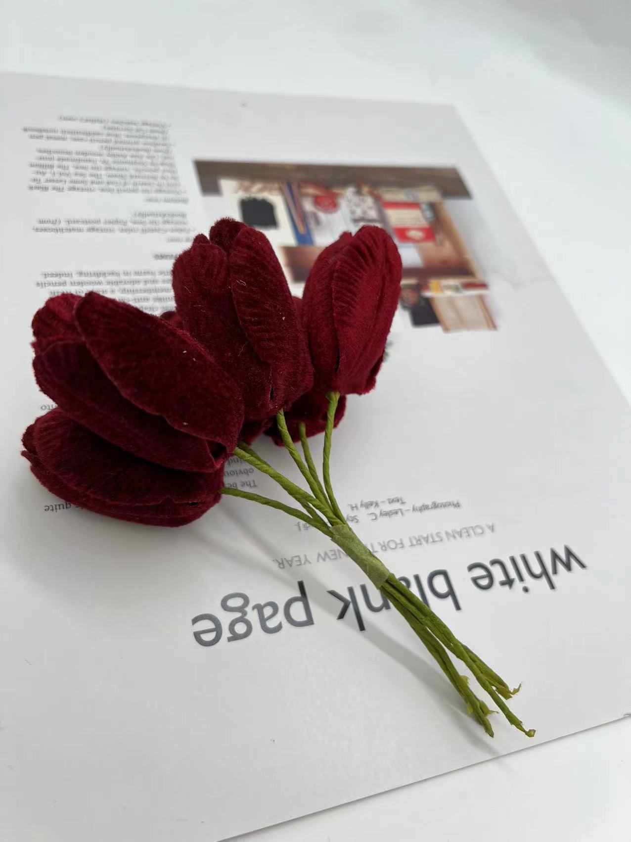 微信图片_20221216120447