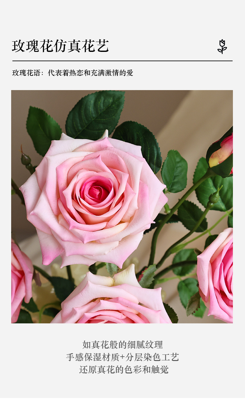 6头可可香玫瑰_02.jpg
