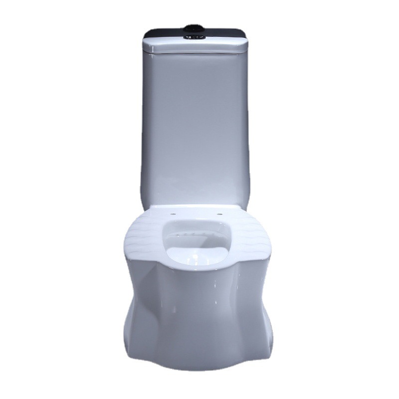 Guangdong cuclillas de doble propósito aseo de doble propósito Hotel en cuclillas inodoro de alto apoyo