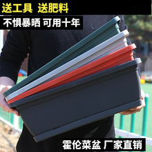 �L���ηN�����ͥ�̨�N�˻����̖�Ӻ������L�l���҃��߲˷Nֲ��