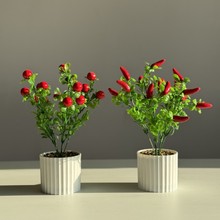 滨ĭҼt辰С¿͏db[O[ٻ