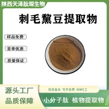 刺毛黧豆提取物10:1/30:1 比例刺毛藜豆/黎豆粉 猫豆提取物 水溶