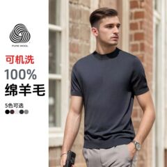 スター同型高品T半袖男25夏新機洗濯セーターニットtシャツ男繊細多色上着男