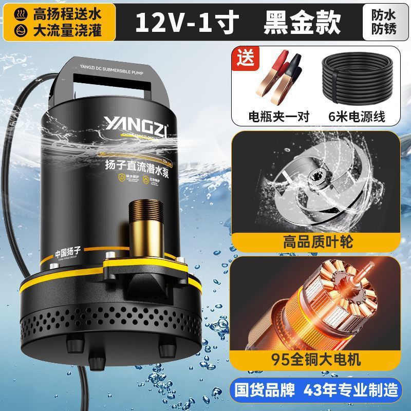 Yangzi bomba sumergible de corriente continua 12V48V72V bomba eléctrica de bombeo de agua de riego agrícola doméstico bomba de agua de alta potencia