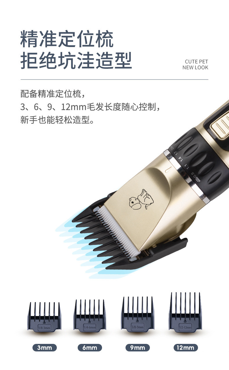 c851f9df-e649-491e-9eeb-450154cd81aa.jpe