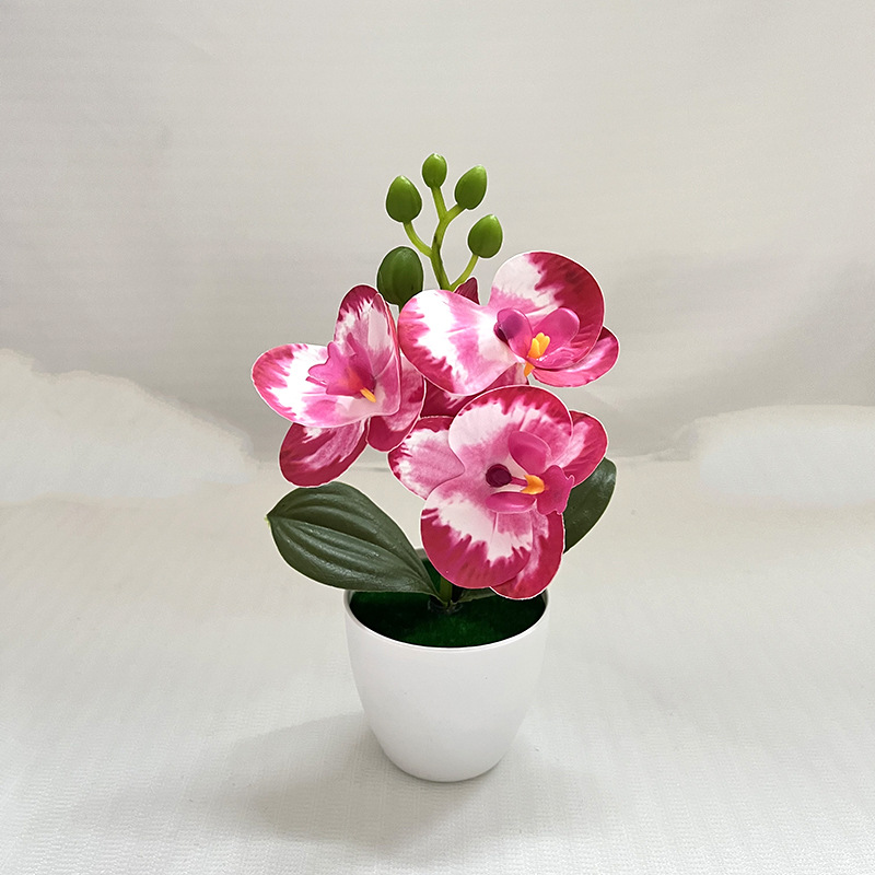 로즈 레드 엣지 (가로 20cm 가로 11cm)