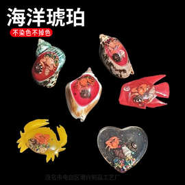 天然海螺贝壳海洋琥珀 创意手工品 挂件摆件 水族箱装饰 家居摆件