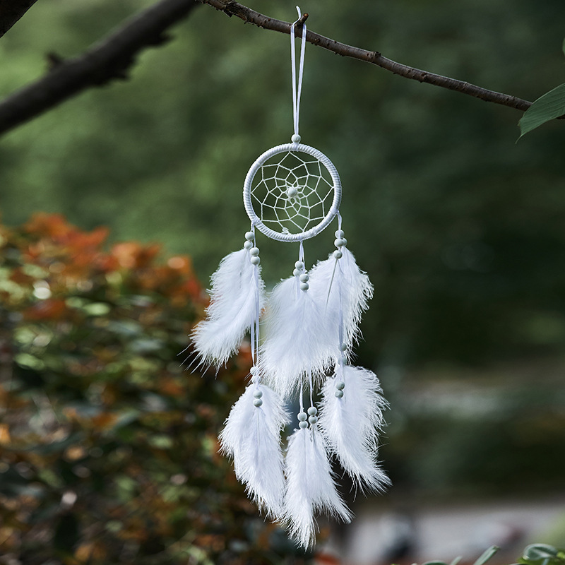 木の玉は夢のネットの工芸品を捕ります。|undefined