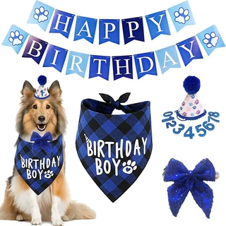 宠物猫咪狗狗生日派对装饰道具口水巾生日帽拉旗横幅布置用品