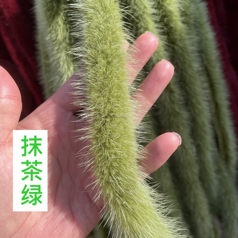 IMG_5363(1)_副本.jpg