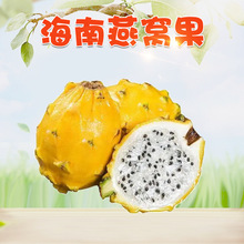 �����x��������C�� 5����SƤ���������rˮ����Ŵ���������