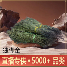 ���_�� ��e��С�������Ҝ���������ș�����l�ɫ��G