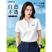 polo���������� �ļ����_�ȶ���T����ţ��˾�F���Ļ���������b