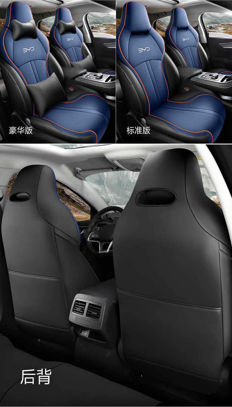 Special Byd Destroyer 05 Seat Cover 2024 Honor Edition 25 Four Seasons All-Inclusive Car Seat Cushion 23 Seat Cover