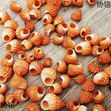 ȻؐݼtRݘ˱ݼľзQ~ˮ쾰΢^