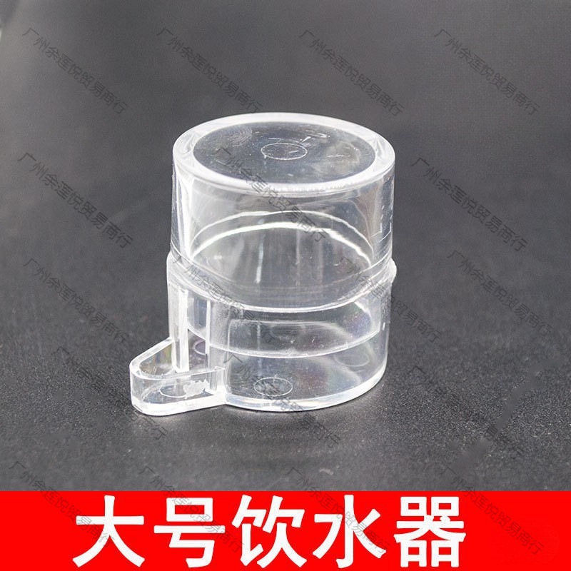蟋蟀蛐蛐水盂饭板通用鸣虫喂水喂食水槽水浅方便两广塑料饮水器